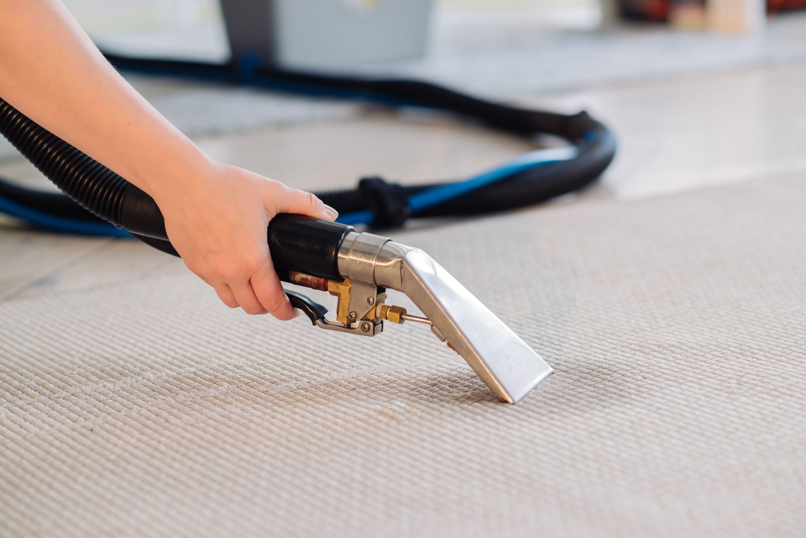 A housekeeper holding modern washing vacuum cleaner and cleaning dirty carpet with stain with detergent